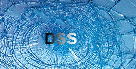 The DSS Glass Protection System