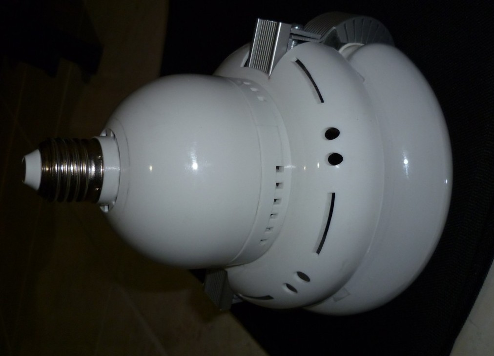 Round type self-ballasted induction lamp