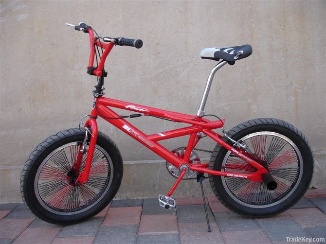 20" BMX Bike