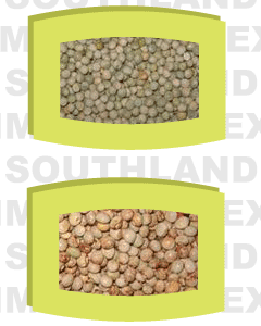 Pulses Exporters