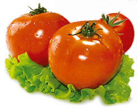 Tomato Paste Exporters