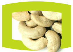 Cashew Exporters