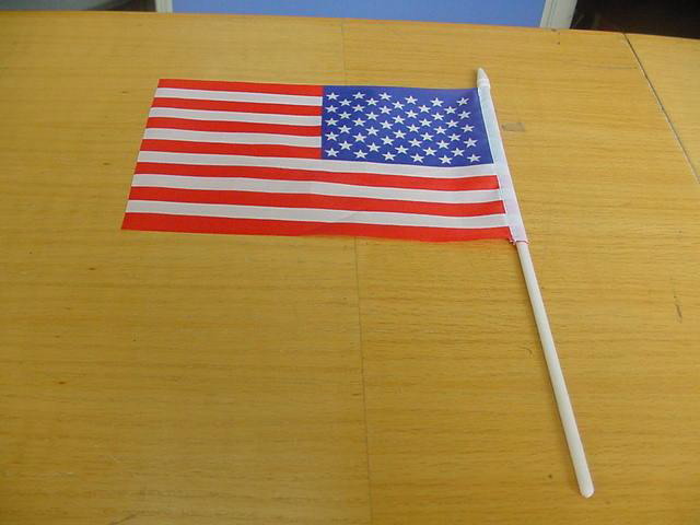 Hand flags for sale