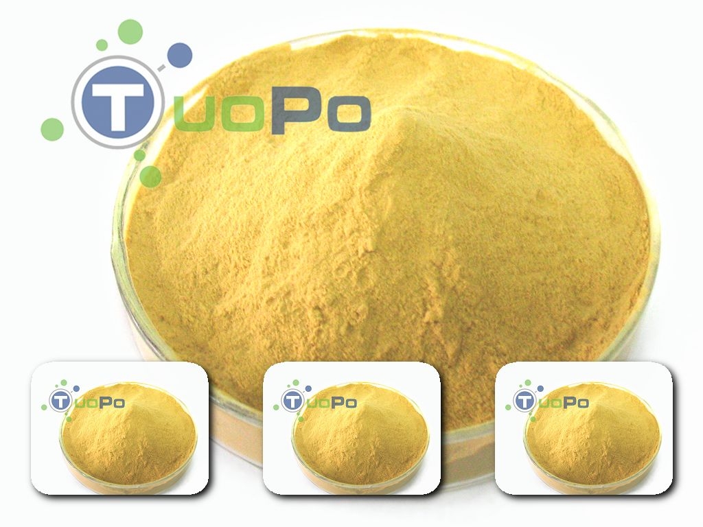 food grade:yeast extract powder TPSF601 (MSG replacer)