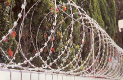 crossed razor barbed wire