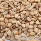 Natural Sesame seeds