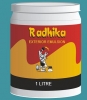 Rasna Paints