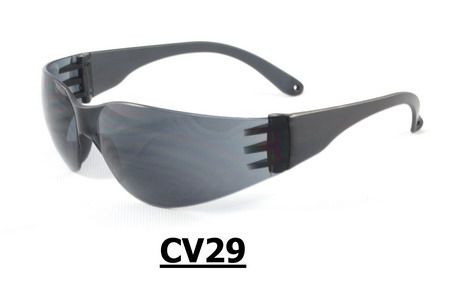 CV29 Safety Eyewear