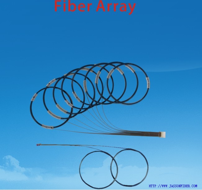 Fiber array (FA)