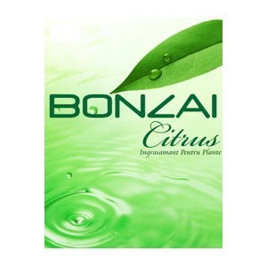 Bonzai Citurs