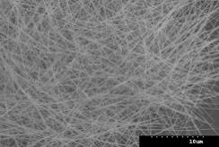 Silver Nanowire