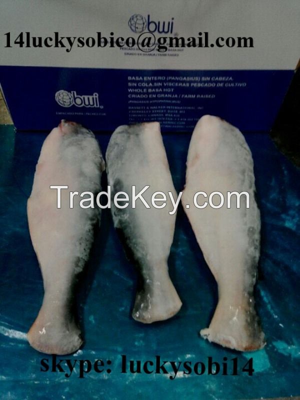 PANGASIUS HEAD OFF/GUTED /TAIL OFF WITH CHEAP PRICE-SKYPE:luckysobi14