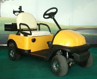 mini golf cart