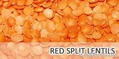 Red Split Lentils