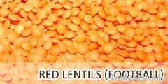 Red Lentils (Football)