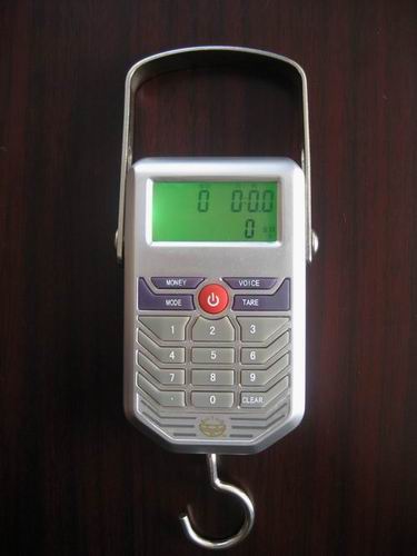 Digital Hanging Luggage Scale, Weighing Balance with Price-Count scale