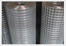 Galvanized Welded Wire Mesh