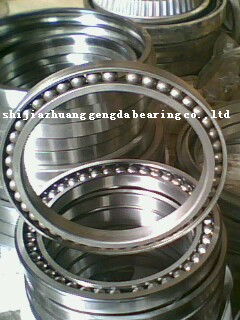 Excavator bearings