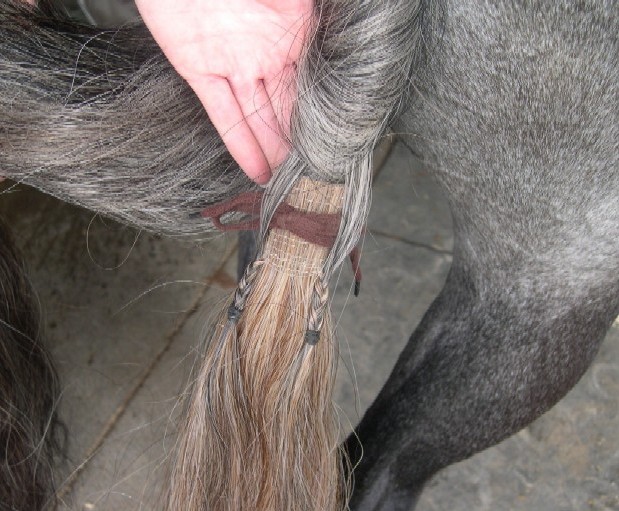 horse hair wefts