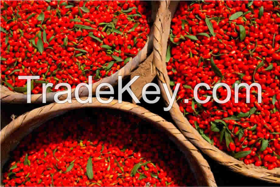 Organic dried goji berries, Tibetafood plateau wolfberry, No pesticide residues