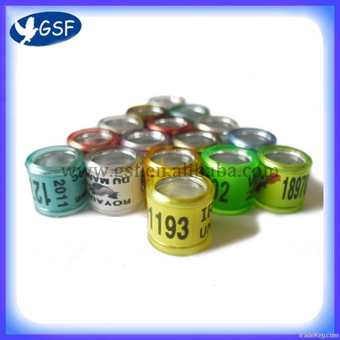 2012 Hot sale colorful pigeon ring products