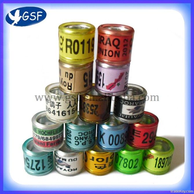 2012 Hot sale colorful pigeon ring products