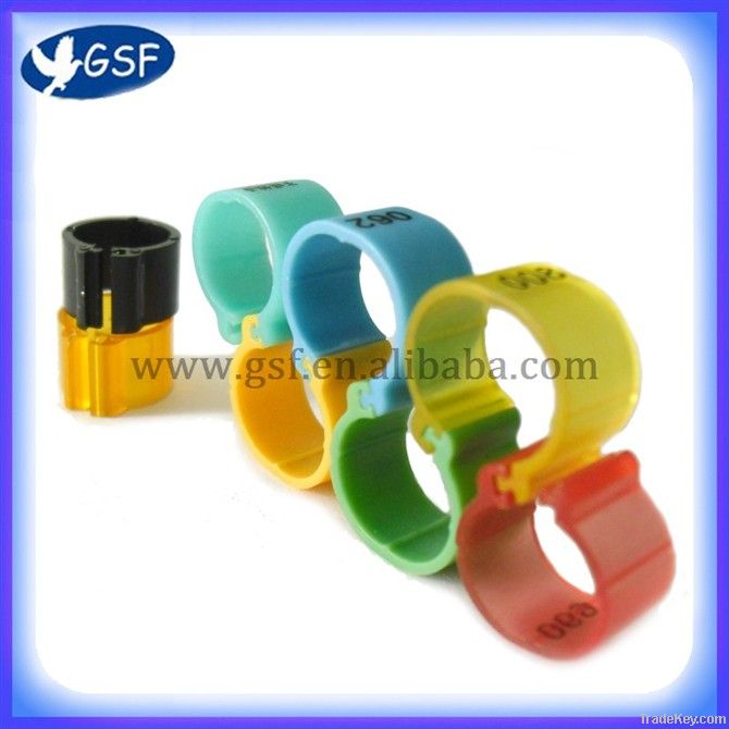 2013 Top quanlity colorful open pigeon ring