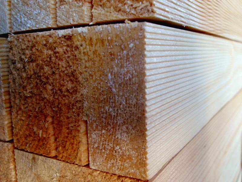 softwood timber