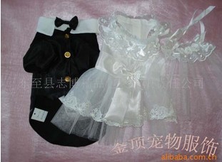 dog clothes for the marriage