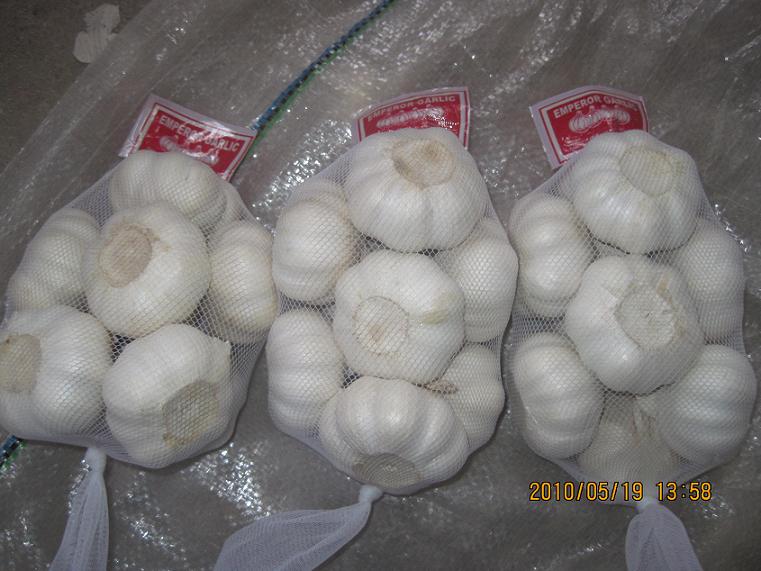 China  garlic