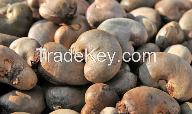 Raw cashew nut