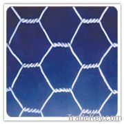 Hexagonal wire mesh