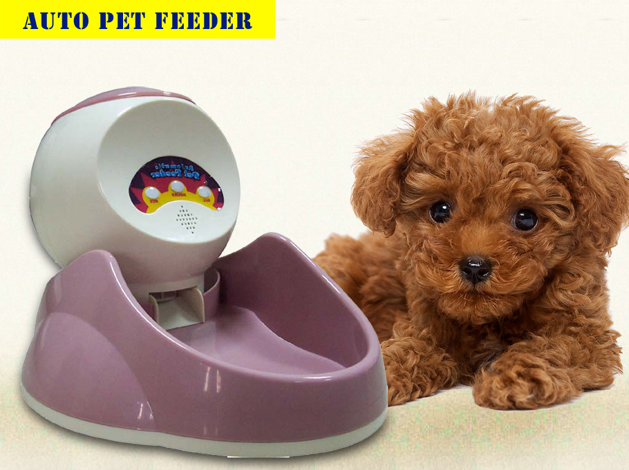 auto pet feeder