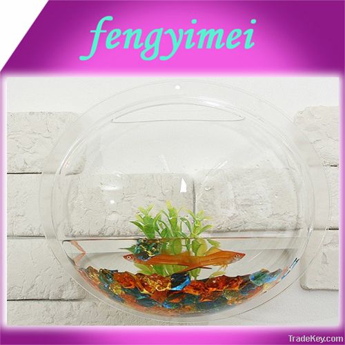 Acrylic slatwall fish aquarium