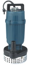 submersible pump (QDX)