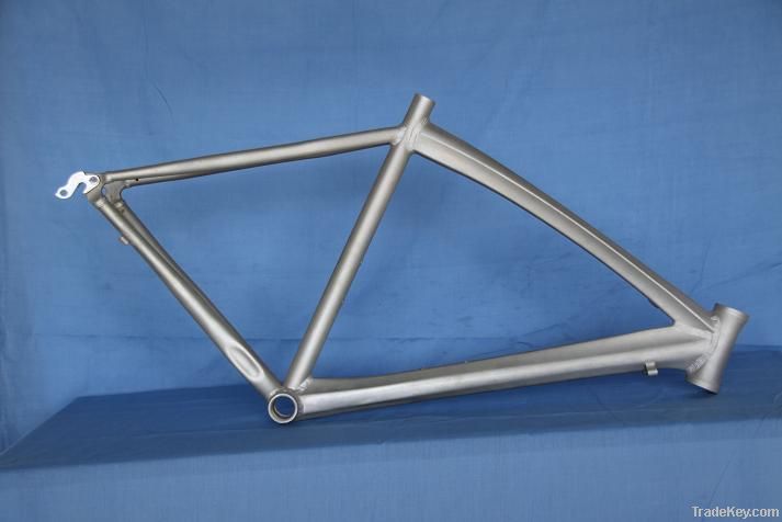 Aluminum Sports Bike frame (sports)