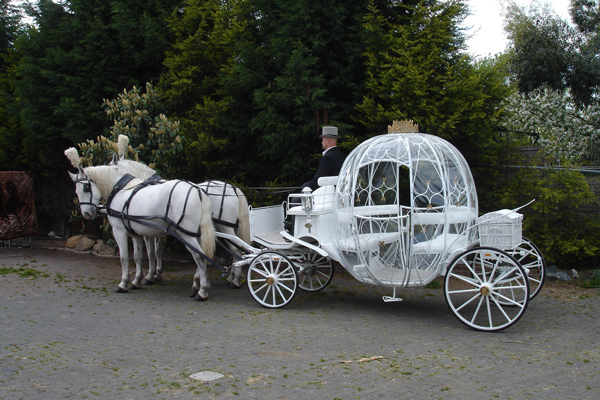 Decorated white Horse and Cart for an Indian Wedding