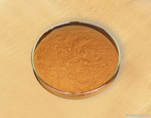 Best Quality Cordyceps Extract