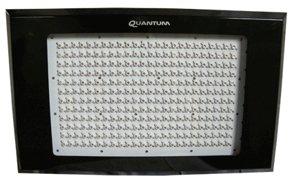 600W Quantum LED Grow Light