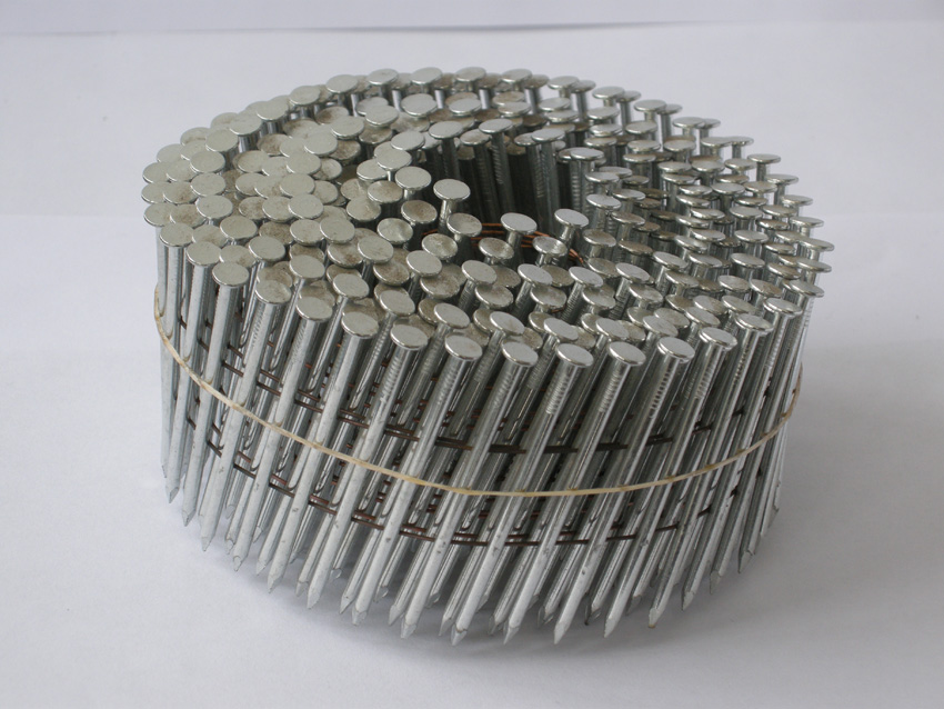 hot dipped galvanized coil nail