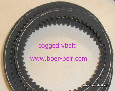 raw edge cogged v belt