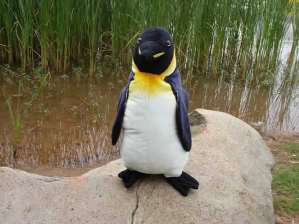 penguin  simulation animail plush toys 100% pp cotton