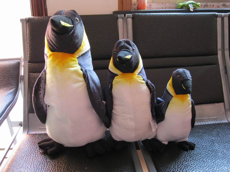 penguin  simulation animail plush toys 100% pp cotton