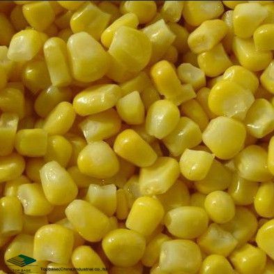 High-Quality IQF Frozen Sweet Corn