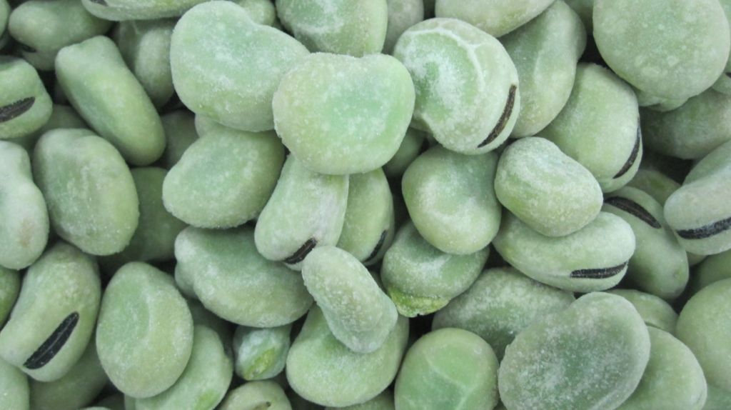 IQF Broad Beans