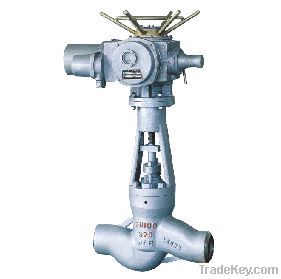 High temperature high pressure power station globe valve