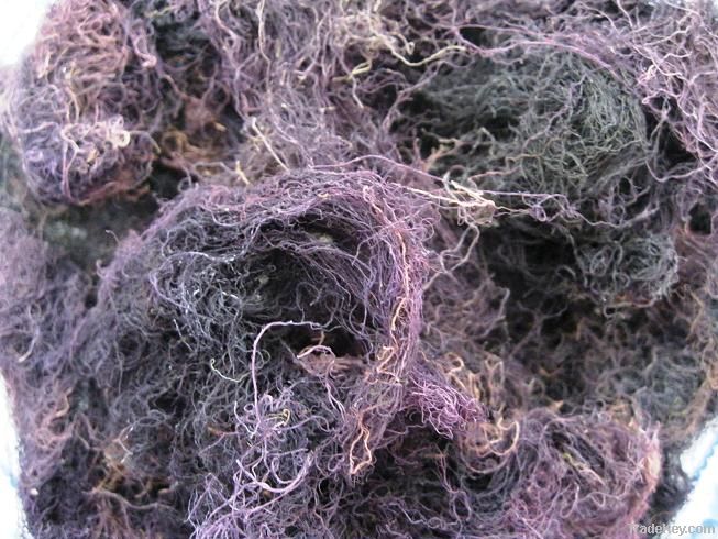 GRACILARIA SEAWEED (SOVIMEXCO)