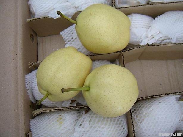 fresh pear