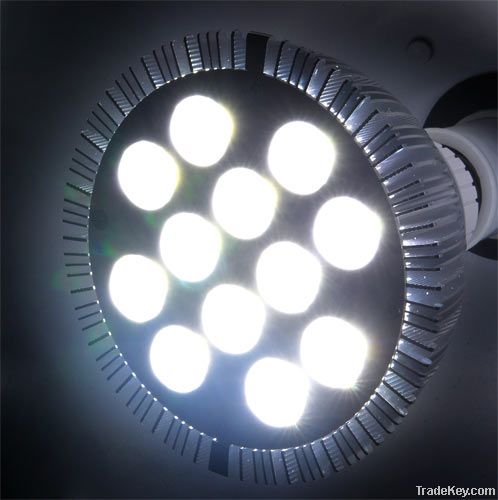PAR38 12W LED Spot Light E27 Dimmable
