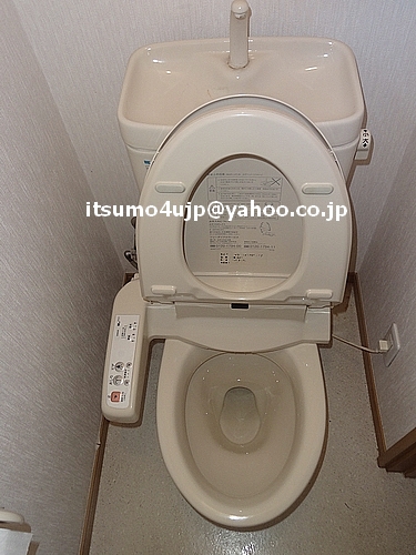 Digital washlet